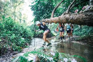 BIB: 
                            <button type="button" onclick="openModal(25441476)" class="btn btn-primary btn-sm float-right btn-popup" data-toggle="modal" data-target=".modal-high-quality">
                        <i class="fas fa-shopping-cart"></i> Add to Cart
                    </button>
                                            <button type="button" onclick="isThisMe(25441476, true)" class="btn btn-success btn-sm float-right btn-popup btn-isme hidden" data-toggle="tooltip" data-placement="bottom" title="นี่คือรูปของคุณใช่ไหม คลิกที่นี่เพื่อเอาเข้าอัลบั้ม">
                        <i class="fas fa-plus"></i> Add to album
                    </button>
                    <button type="button" onclick="isThisMe(25441476, false)" class="btn btn-warning btn-sm float-right btn-popup btn-isnotme hidden">
                        <i class="fas fa-ban"></i> Remove from album
                    </button>